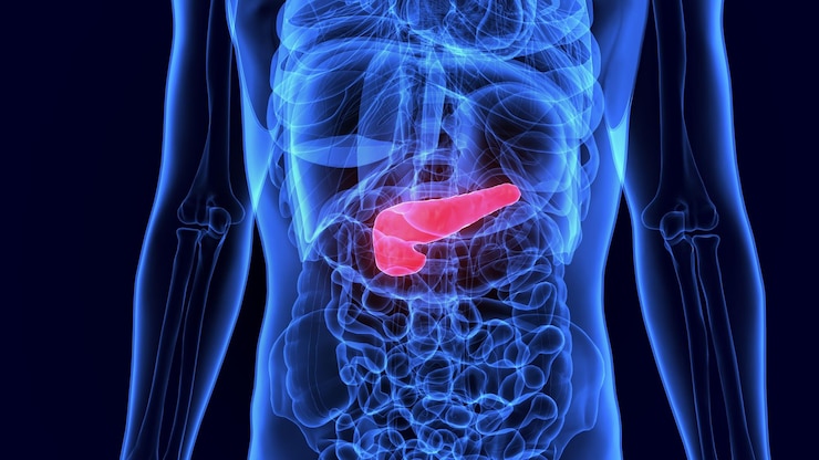 Photo 3d illustration of human internal organ gallbladder anatomy