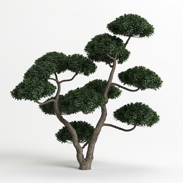 3d illustration of Ilex cornuta bonsai isolated on white and its mask