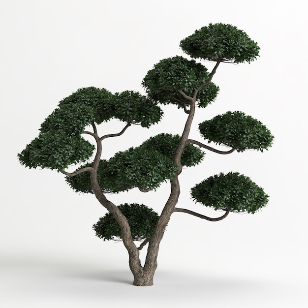 3d иллюстрация бонсай Ilex cornuta, изолированного на белом, и его маска