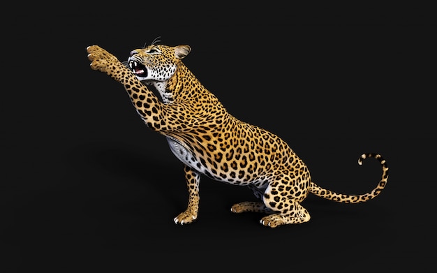 Photo 3d illustration of isolated leopard on black background