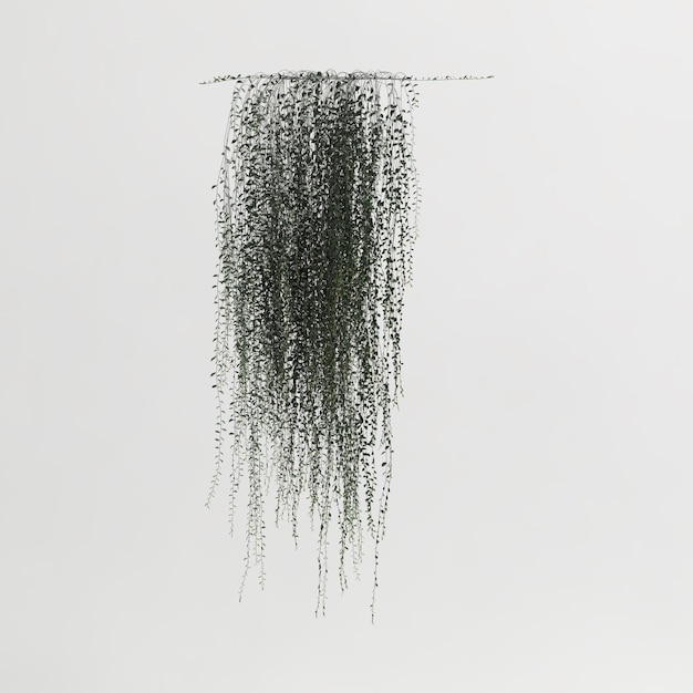 흰색 배경에 고립 된 아이비 식물의 3d 그림