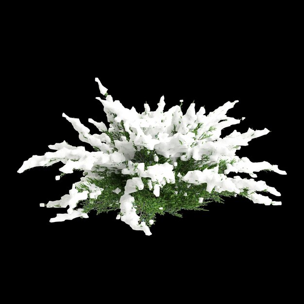 Photo 3d illustration of juniperus sabina snow covered tree isolated on black background