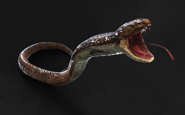 3d Illustration King Cobra The World039s Longest Venomous Snake Isolated on Black Background