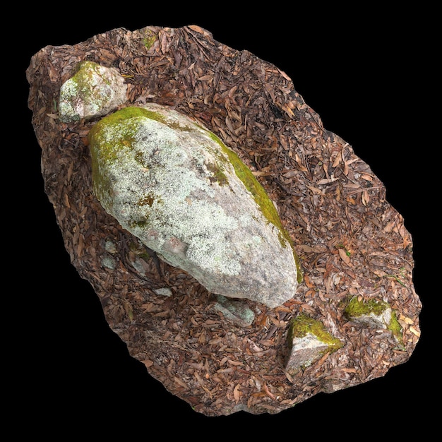 3d illustration of moss covered rocks set on dry leaves isolated on black background