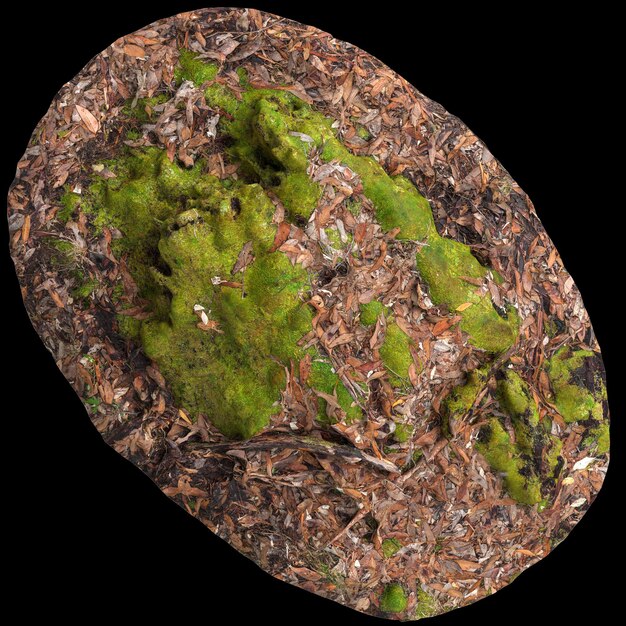 3d illustration of moss covered rocks set on dry leaves isolated on black background