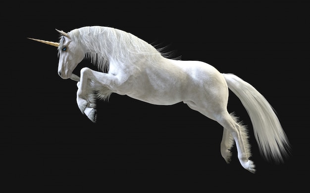 3d Illustration Mythical White Unicorn Posing Isolate on Dark wall with Clipping Path.