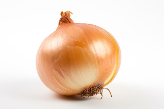 3d illustration onions isolated in white background