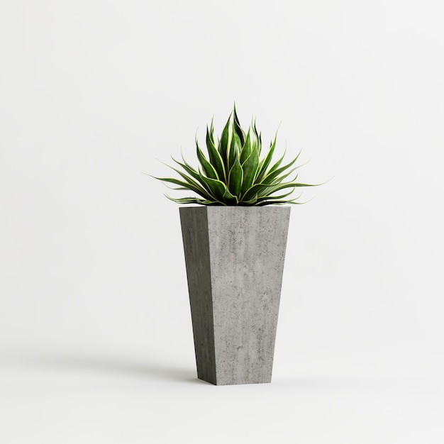 3d illustration of plant in concrete potted isolated on white background