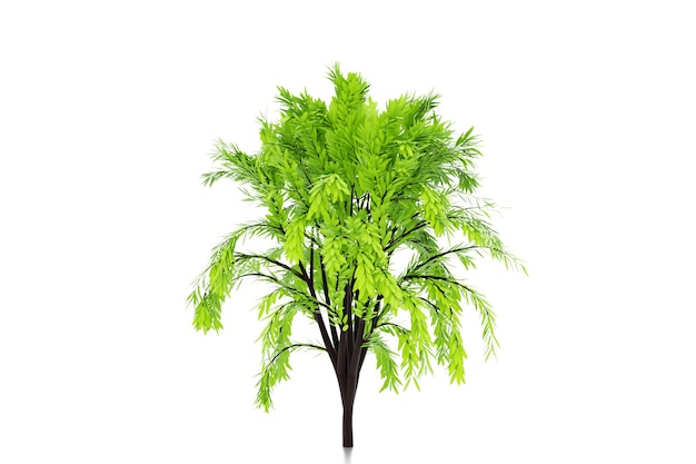 Illustrazione 3d di albero decorativo verde realistico isolato su priorità bassa bianca.