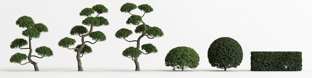 Illustrazione 3d del set carmona microphylla tree isolato su bianco e la sua maschera