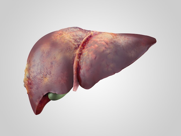 Photo 3d illustration of sick human liver with cancer isolated