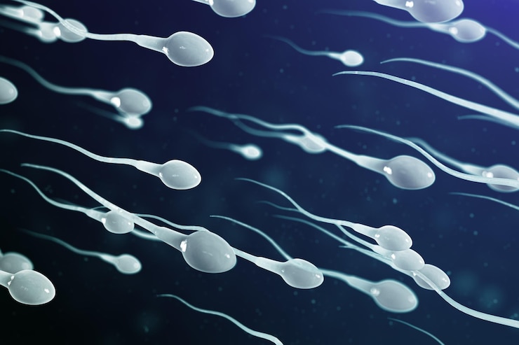Photo 3d illustration sperm approaching egg cell, ovum. natural fertilization - close-up view. conception, the beginning of a new life. sperm under the microscope, movement sperm