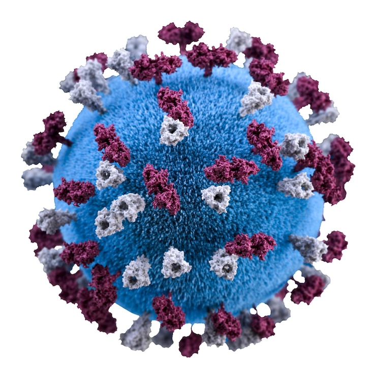 Photo a 3d illustration of a sphericalshaped measles virus particle that was studded with glycoprotein tubercles transparent png