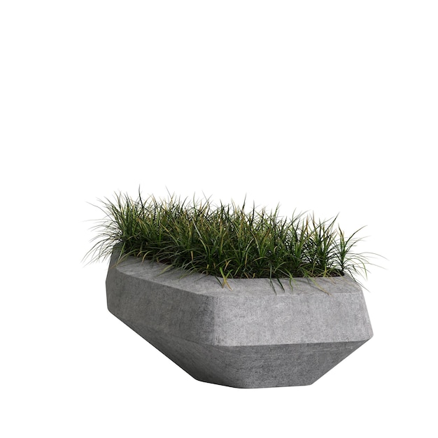 白い背景に分離された石の鉢植え植物の 3 d イラストレーション
