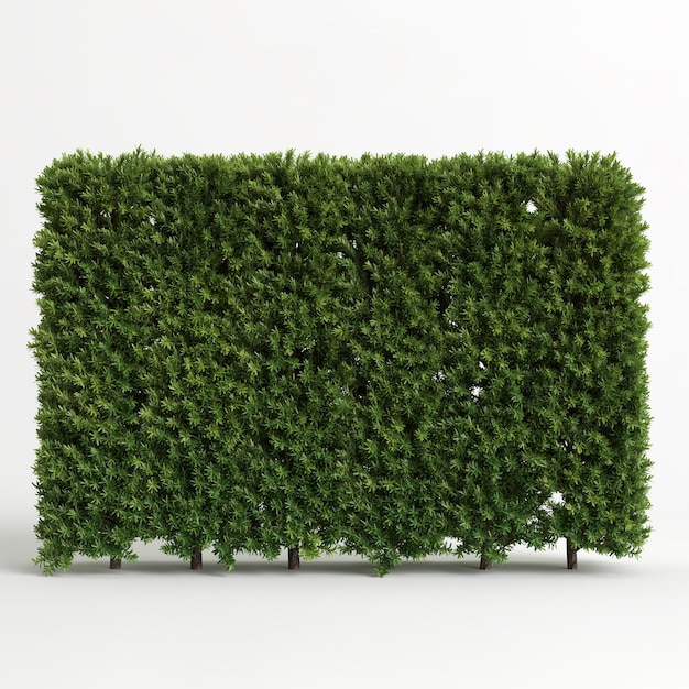 3d illustration of tree fence