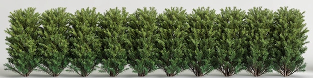 3d illustration of tree fence