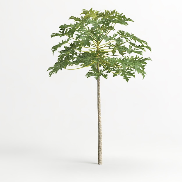 3d illustration of tree isolated on white background