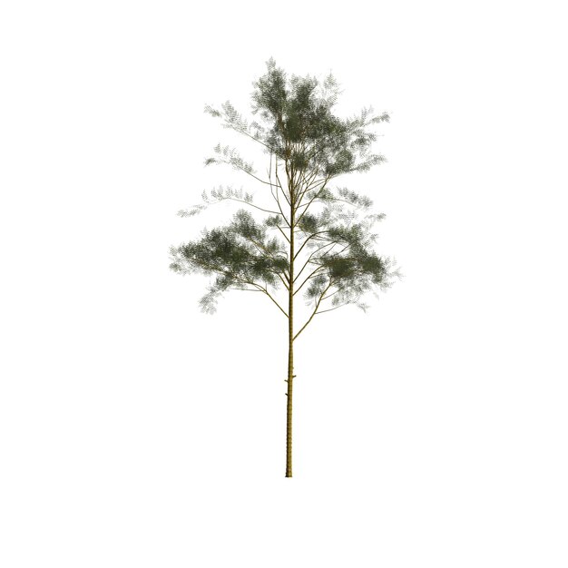 3d illustration of trees isolated on white background