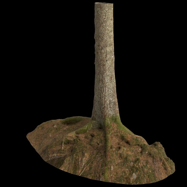 3d illustration of trunk isolated on black background