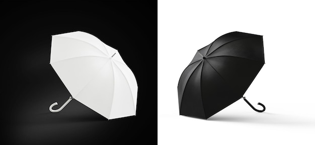 3D illustration Umbrella isolated on white background Black and white concept