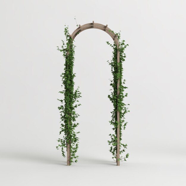 3d illustration of wooden arched ivy isolated on white background