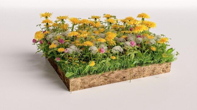 3D kubusvormige bloemen grasland met bodem geologie doorsnede 3D illustratie grond ecologie