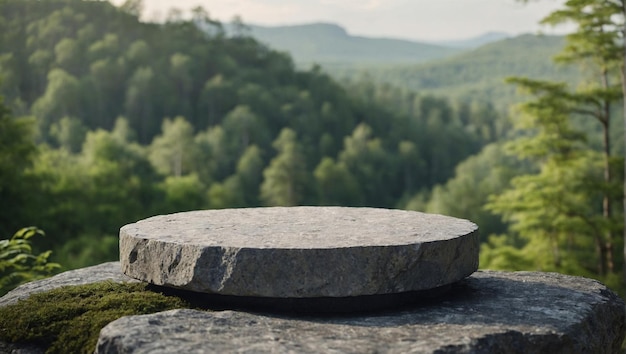 3D Leeg bovenkant van stenen tafel of stenen platform op natuurlijke achtergrond Voor productvertoning