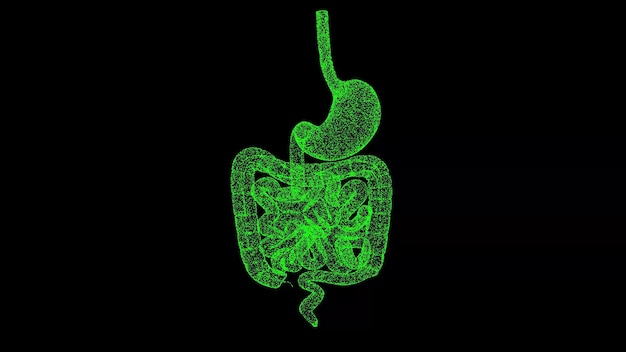 Foto 3d maag en darmen op zwarte bg het menselijke spijsverteringsstelsel wetenschappelijk medisch concept voor titeltekstpresentatie object opgeloste flikkerende deeltjes 3d-animatie