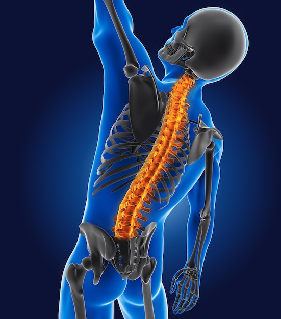 3D medical man with skeleton spine highlighted