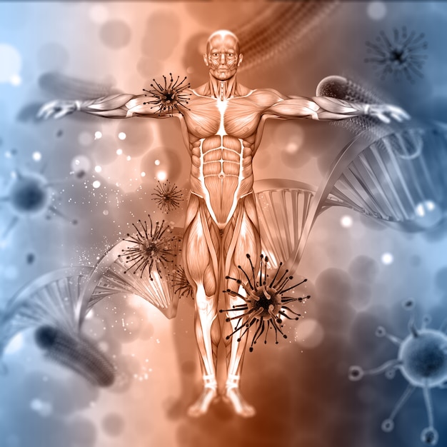 Foto 3d medische achtergrond met mannelijk cijfer met viruscellen en bundel van dna