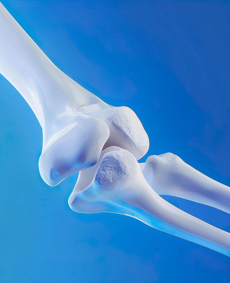 Photo 3d model of elbow joint in white