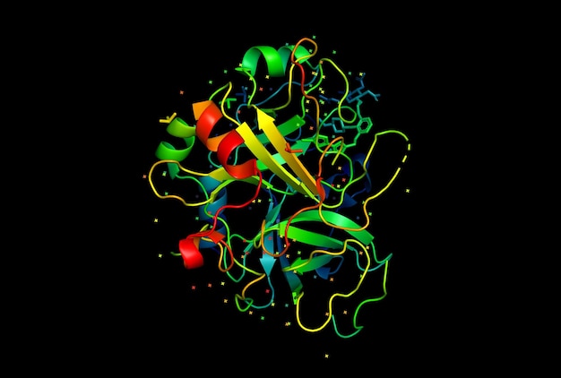 사진 단백질 분자의 3d 모델