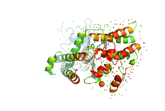 Photo 3d model of a protein molecule