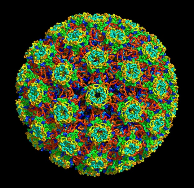 3D moleculaire structuur van humaan papillomavirus type 16, geassocieerd met verschillende kankers en andere ziekten. VOB 3J6R