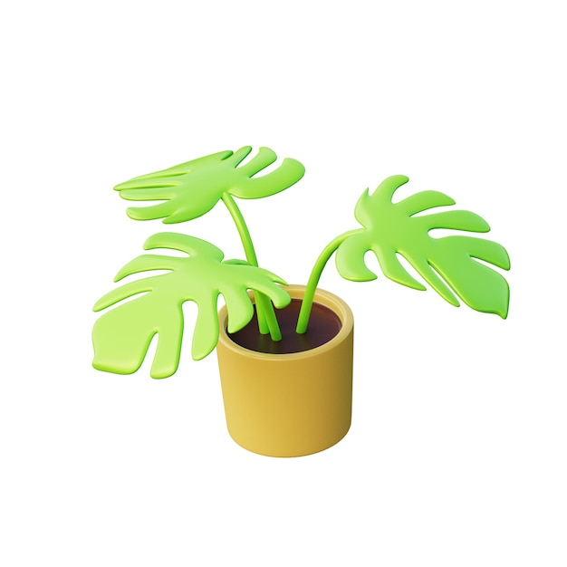 3D Monstera Plant Illustration