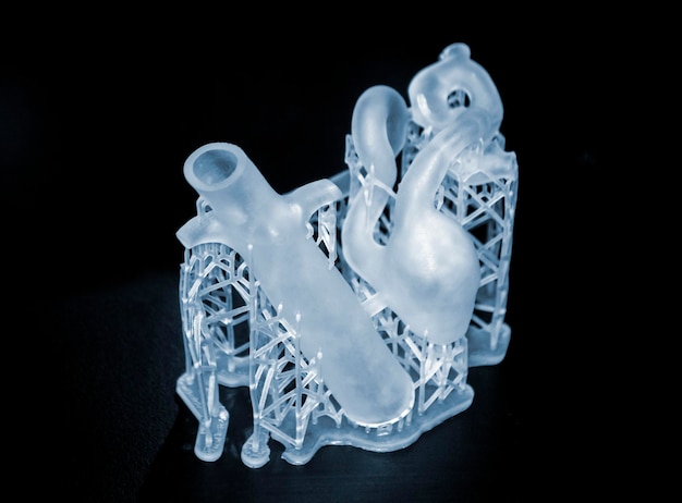 3Dプリントされた人間の心臓のプロトタイプクローズアップオブジェクトフォトポリマー