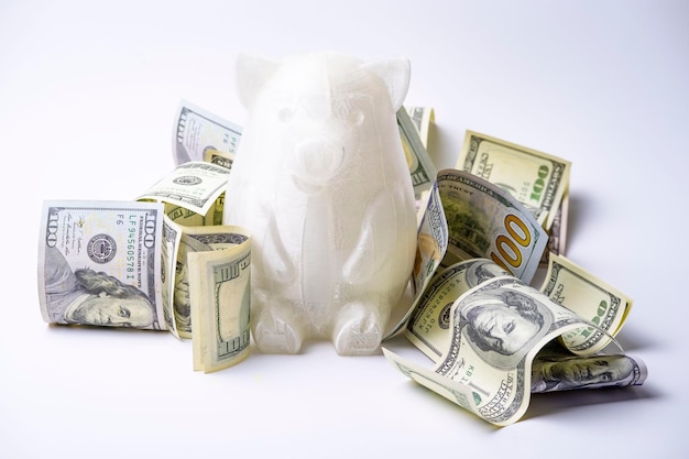 3d printed piggy bank with hundred dollar bills around