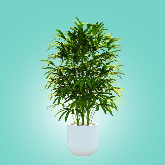 3d realistic illustration potted plants for the interior on blue background Including clipping path