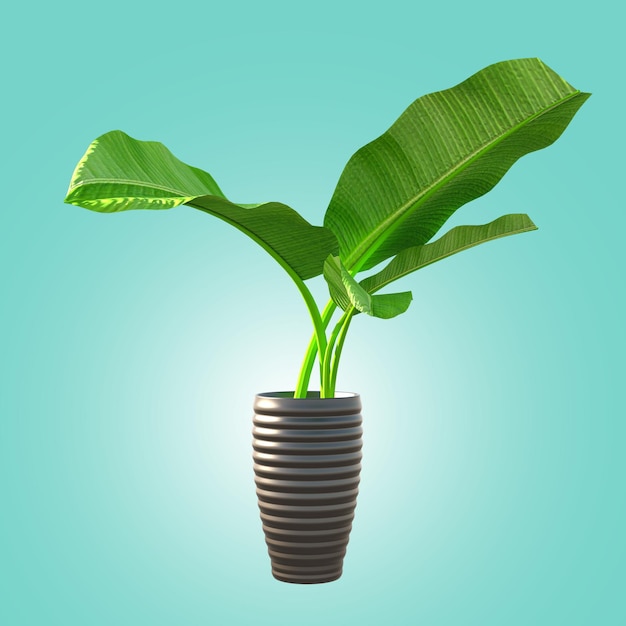 3D-realistische illustratie potplanten voor het interieur op blauwe achtergrond inclusief uitknippad