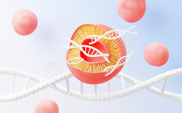 3D render celmembraan Fosfolipide Dubbellaag Lagen van moleculen Genexpressie nucleotide-database Vloeibaar mozaïekmodel voor onderwijs Menselijk gen Plasmamembraanstructuren