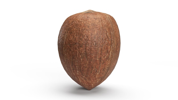 3d render coconut brown on a white background vertically