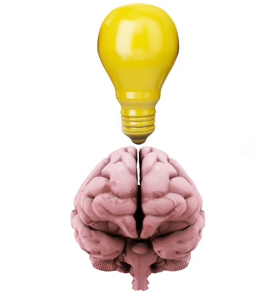 3d render concept of brain in a lightbulb