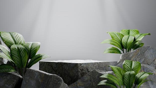 3d render of concrete podium with tropical plant for product display.