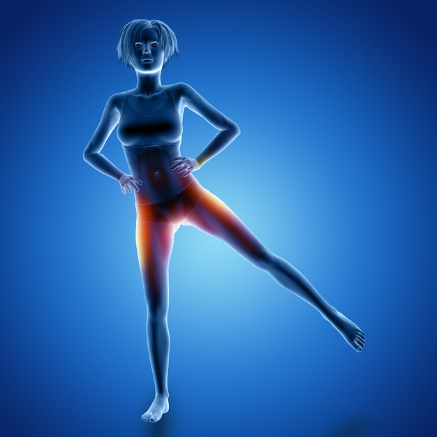 3D render of a female figure in leg raise pose with muscles used highlighted