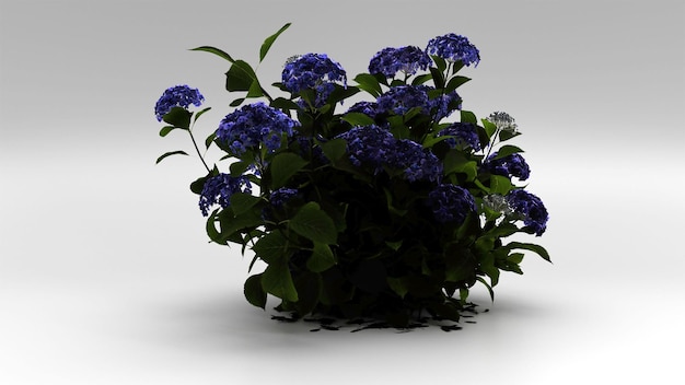 흰색 배경에 꽃 식물의 3d 렌더링