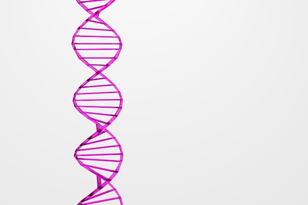 3d 렌더링 흰색 배경에 유리 purpe DNA 기호 간단한 미니멀리즘 개념