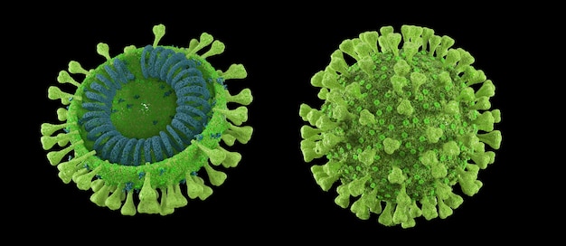 3d render green coronavirus on a black background