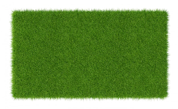 3D Render of green grass. Natural texture background. Fresh spring green grass