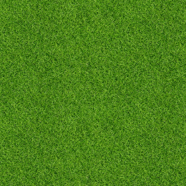 3D Render of green grass texture for background. Green lawn texture background. Close-up.