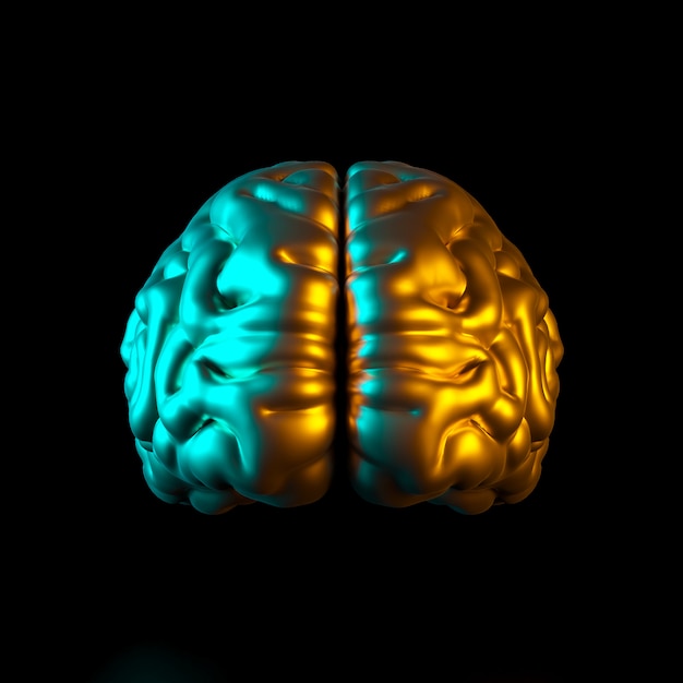 3d render illustration of a gold colored human brain